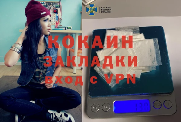 крисы Новозыбков