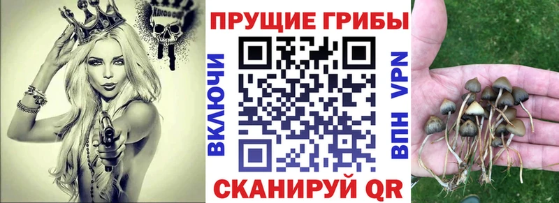 Галлюциногенные грибы GOLDEN TEACHER  Олонец 